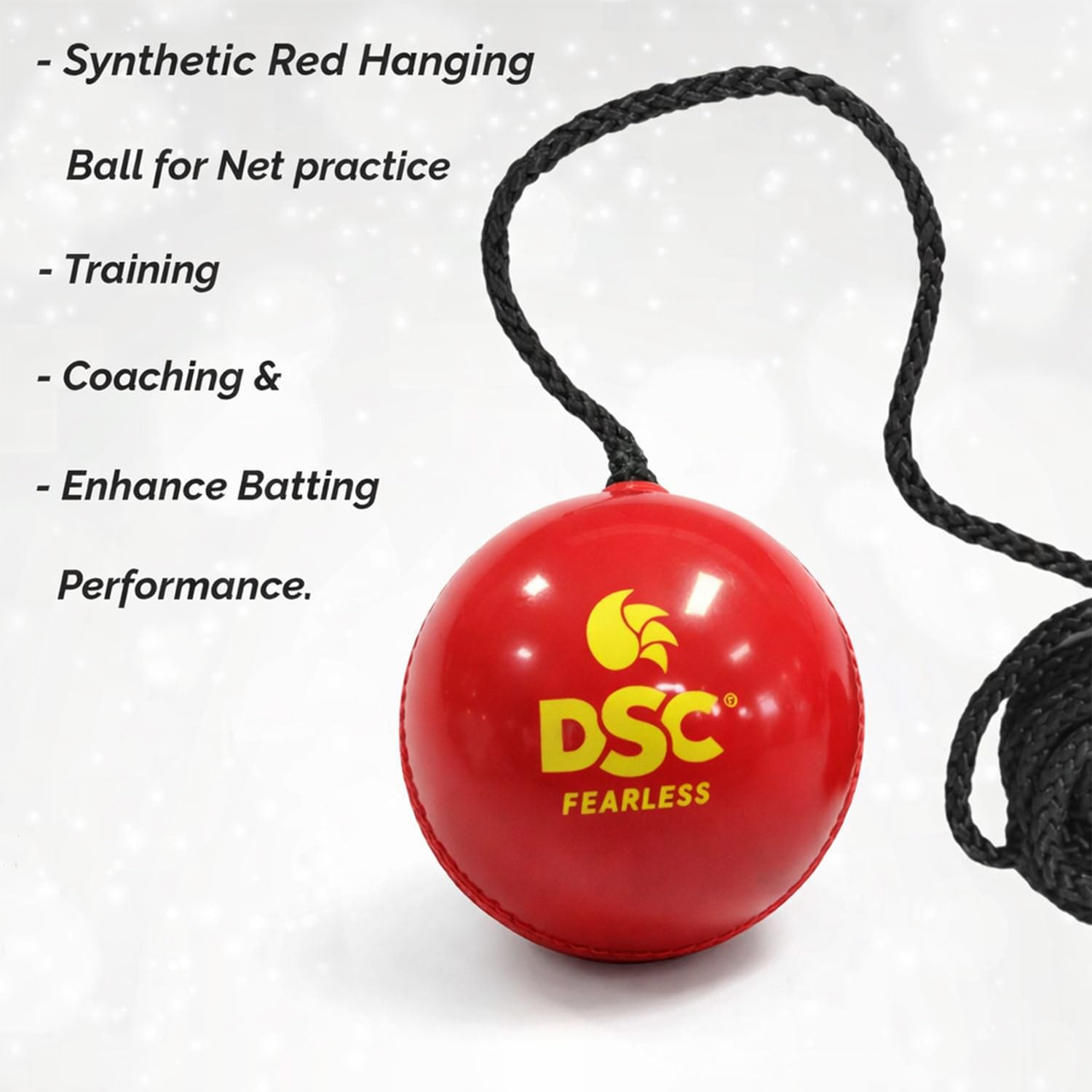 DSC Hanging Synthetic Cricket Ball (Red, Club Size), Standard