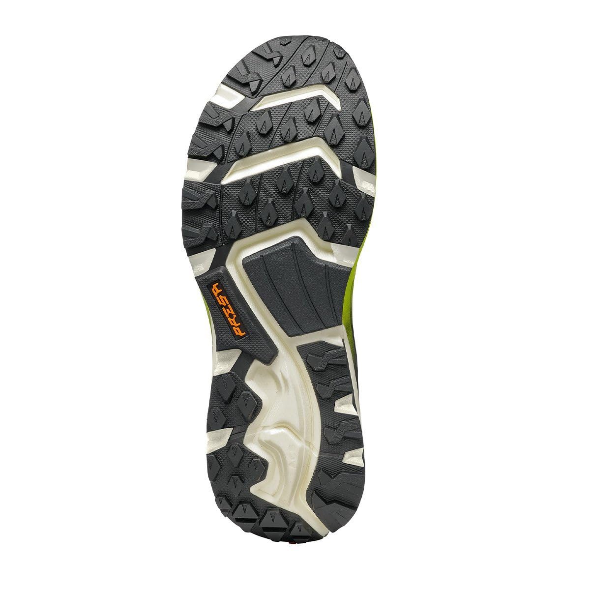 Scarpa Mojito, Trail Running Hombre, Shark BM Spider
