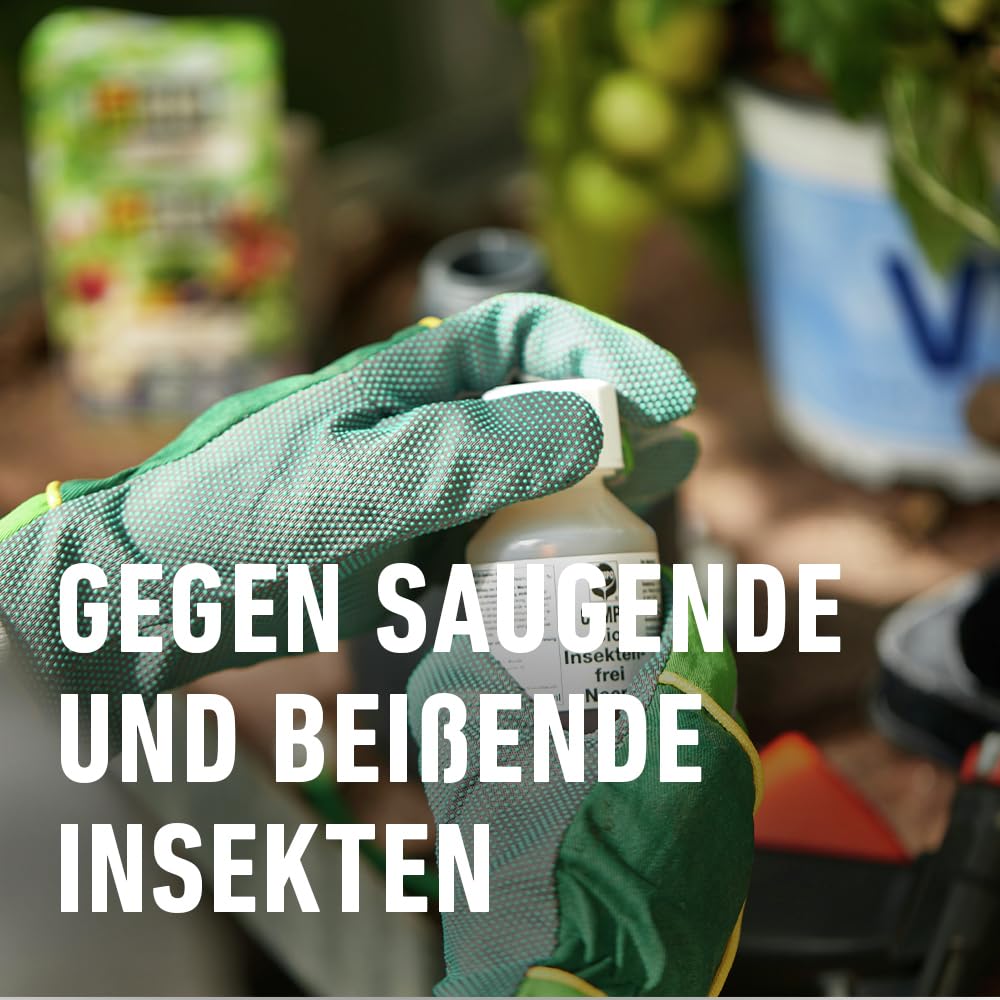 COMPO BIO Insekten-frei Neem Konzentrat, 6 fr bis zu 2 L  Neeml  Schdlingsbekmpfung gegen Blattluse & Trauermcken bekmpfen an  Zierpflanzen, Kartoffeln, Gemse & Krutern : Amazon.de: Garten