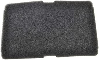 Filtro Filacci Asciugatrice Lg Originale ADQ55998601