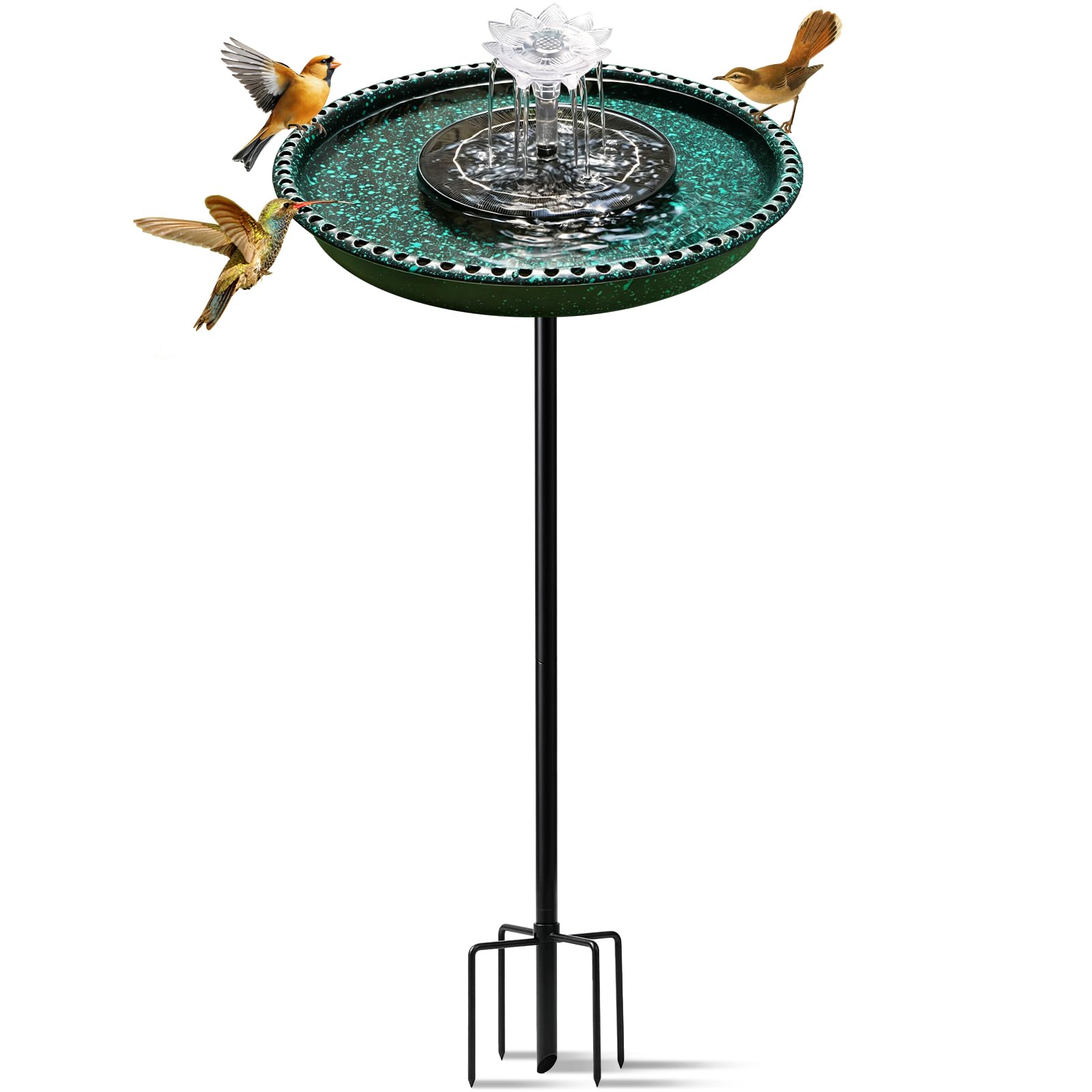 Feemiyo Bird Bath