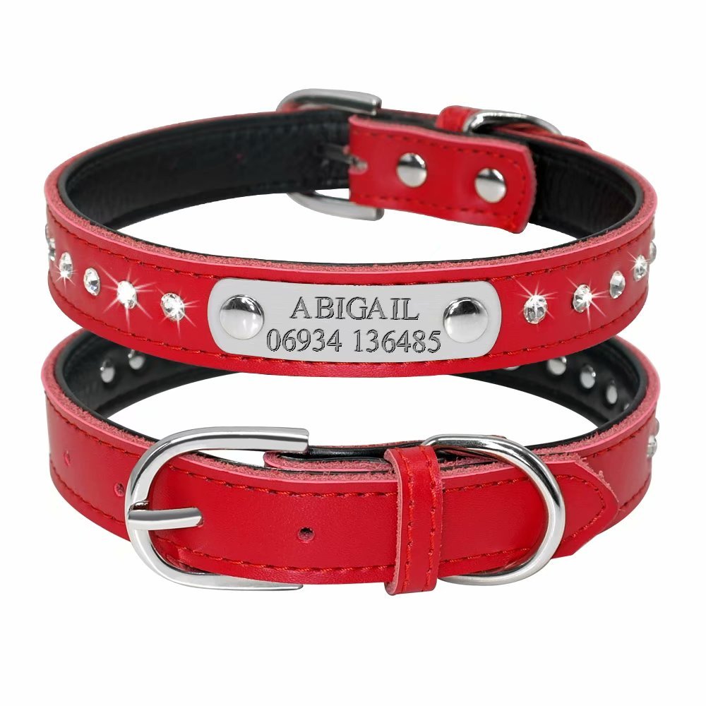 Didog Hundehalsband Mit Strass & Graviertem Namensschild - Personalisiert, Leder, Größe S