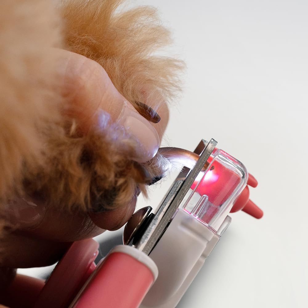 Walkinnwith LOOKUT Coupe-Ongles pour Chien de qualité supérieure avec Guide Lumineux [fabriqué en Corée] Coupe-Ongles pour Chat sûr Coupe-Griffes et piège à Ongles