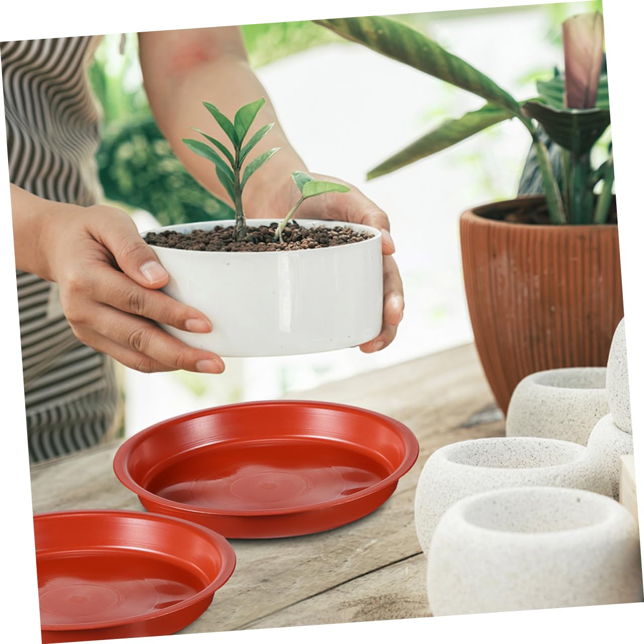 Lot De 20 Soucoupes Pour Pots De Fleurs – Diamètre 9 Cm – Plastique Résistant – Protège Surfaces Et Maintient L’humidité