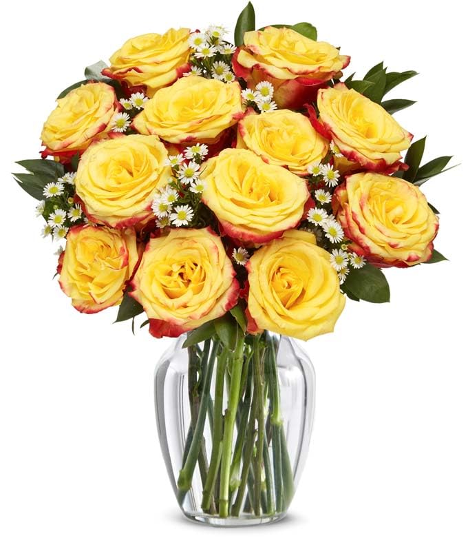 From You Flowers - One Dozen Festive Roses with Glass Vase | Fresh Flower Bouquets for Birthday, Anniversary, Get Well or Celebration