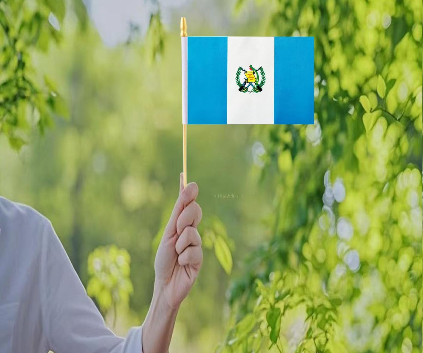 10 Pack Guatemala Flags - GT Handheld Flag- 5x8 in, Guatemalan Mini Flag. Suitable For Party Decorations, Store Displays, Bar Decorations And National Day Parades. image 3
