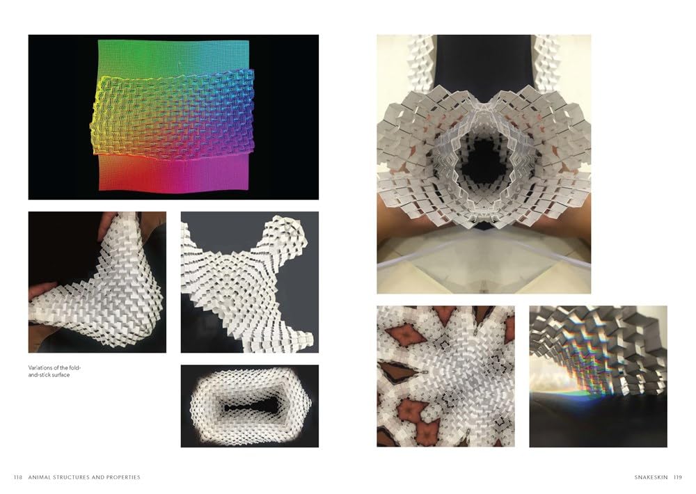Biomorphic Structures: Architecture Inspired by Nature