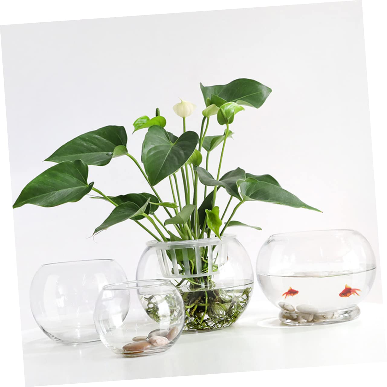 Vase en Verre Transparent Arrondi pour Plantes Hydroponiques Surface Lisse et Résistante la Rouille, Décoration de Bureau Créative pour Maison ou Hôtel