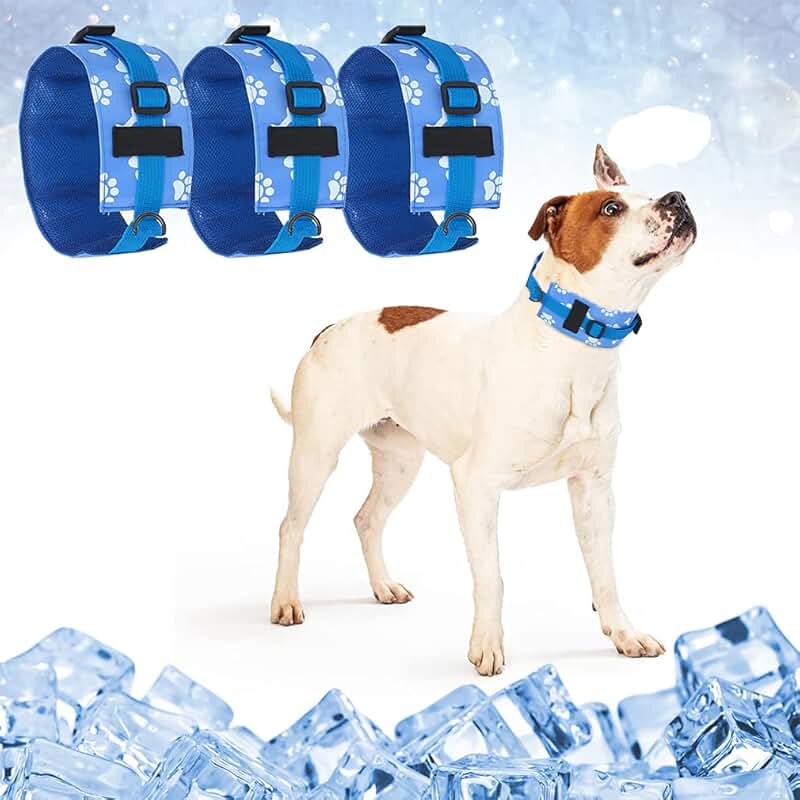 Dog Cooling Collar