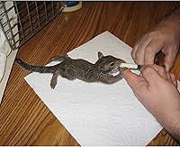 Vista 5 de Exotic Nutrition Sustituto de leche especial de 8.8 onzas – Fórmula saludable en polvo – Ideal para ardilla, conejo, zarigüeya, mapache