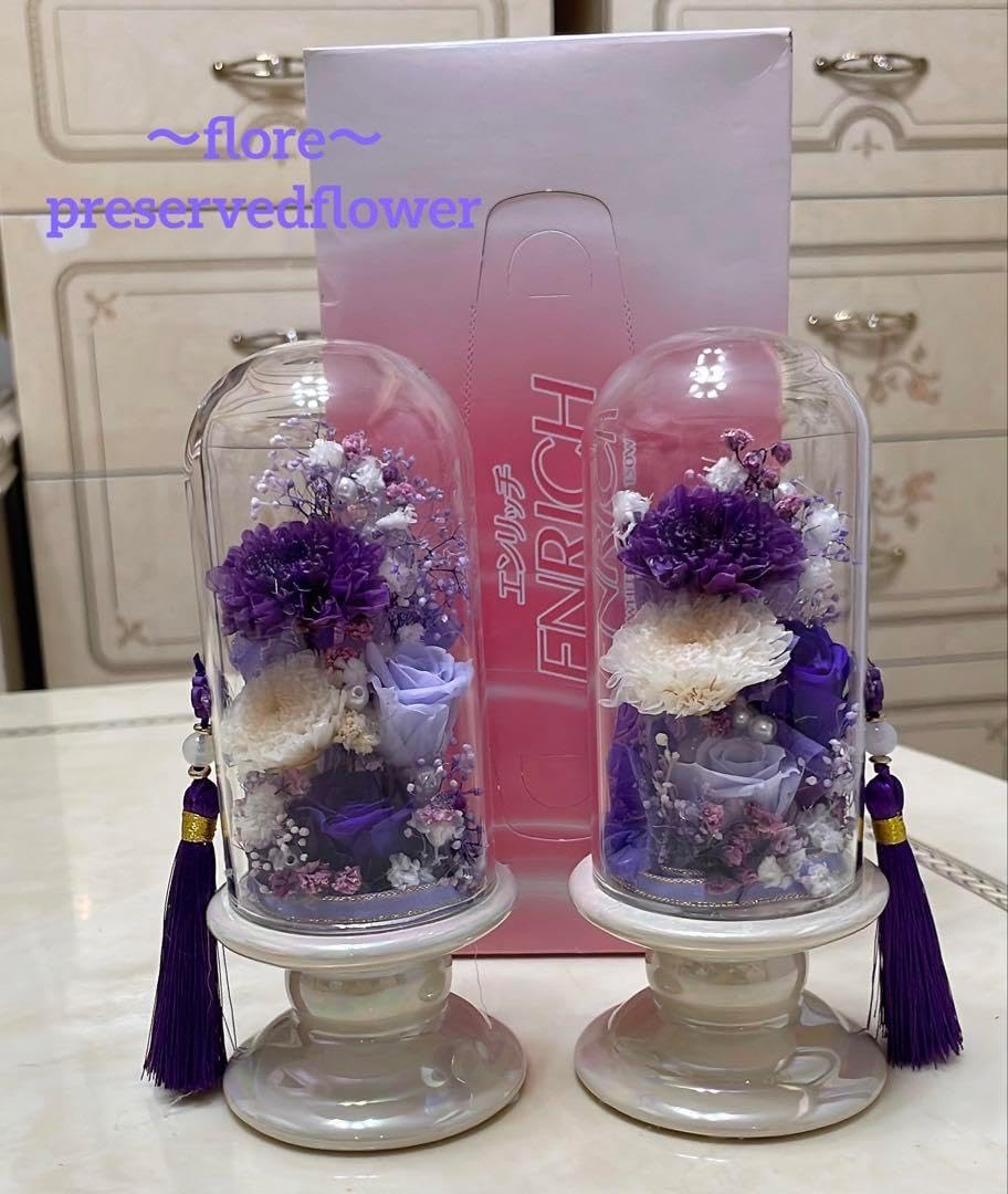 フィカス ゴムの木 グランディス ブラウン 33番 曲がり 特大 観葉植物