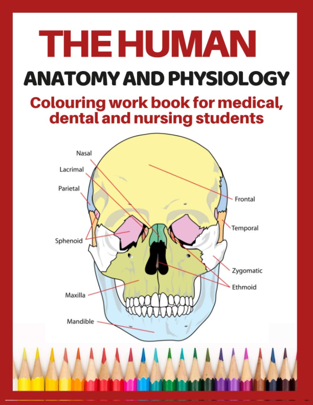 Buy The anatomy and physiology colouring work book for medical, dental