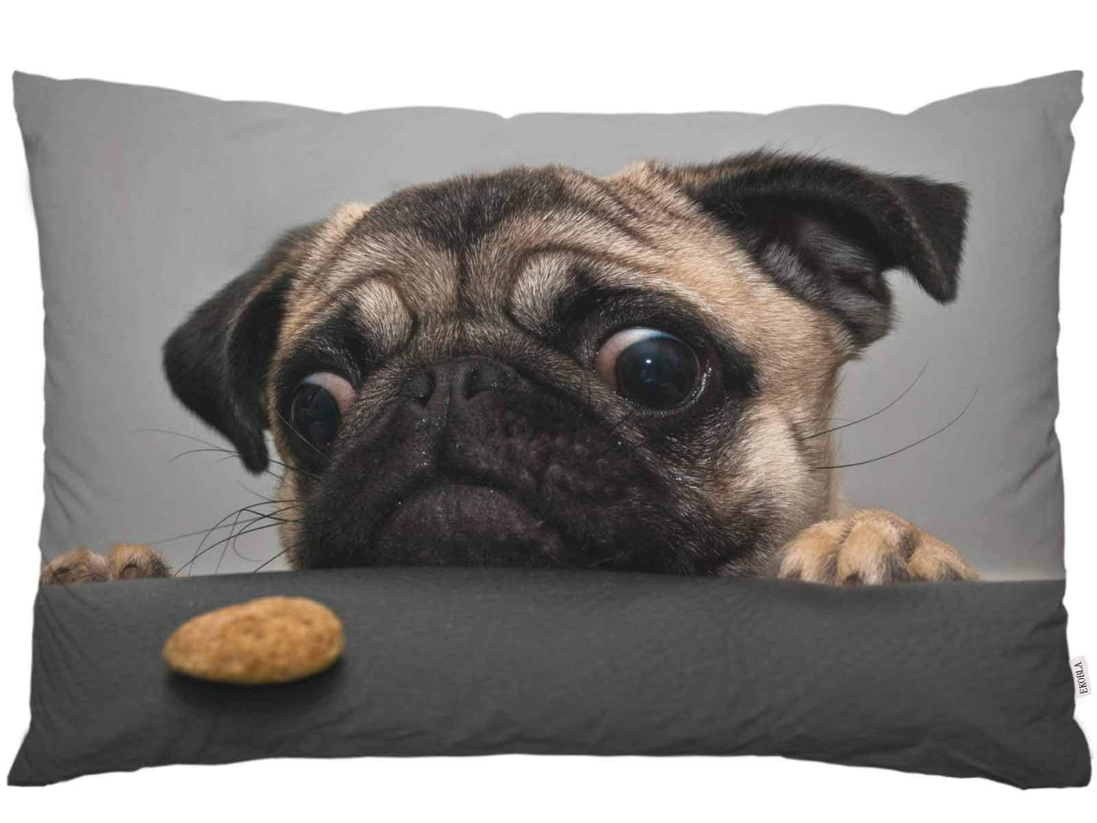 Amazon.co.jp: EKOBLA クッションカバー パグ犬 かわいい動物
