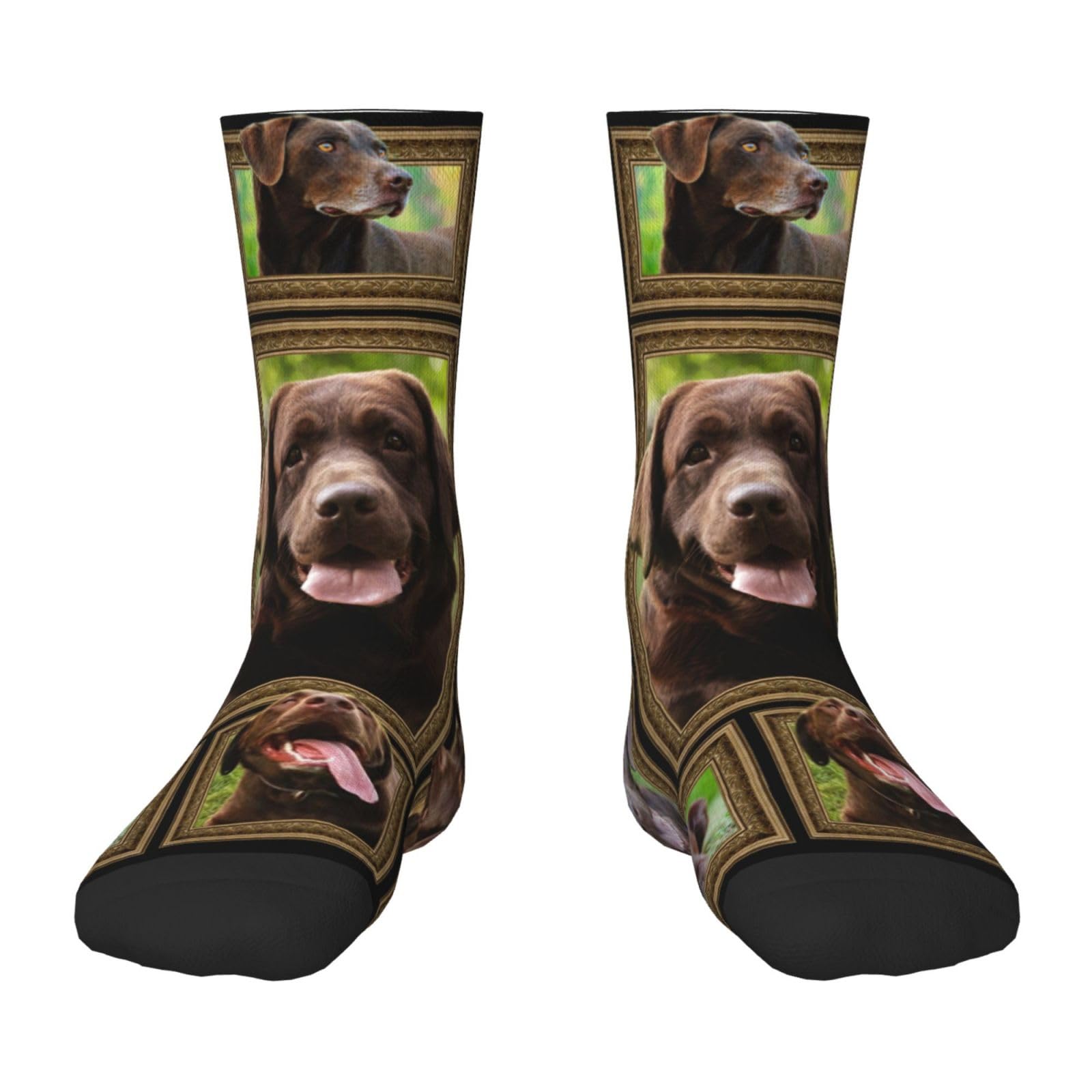 Fwjzdsp Unisex Chocolate Labrador Socks Noveltys Athletic Calf Socks For Adult Men Women