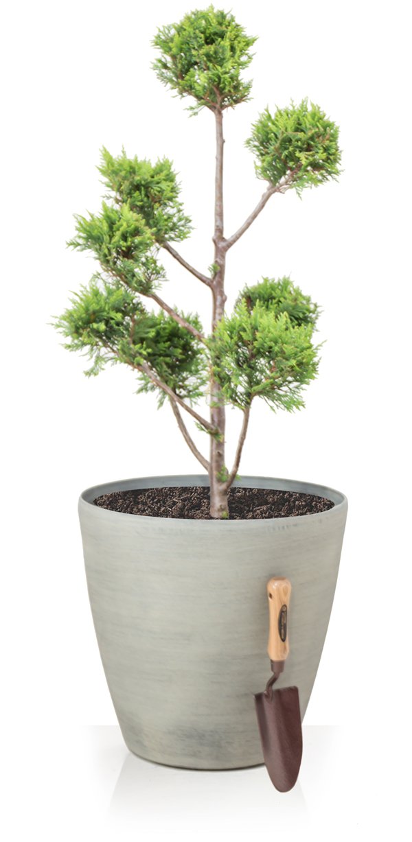Primrose Cone Planter Frost Resistant & Lightweight Cortina Stone 41cm x 43cm (16.1in x 16.9in)