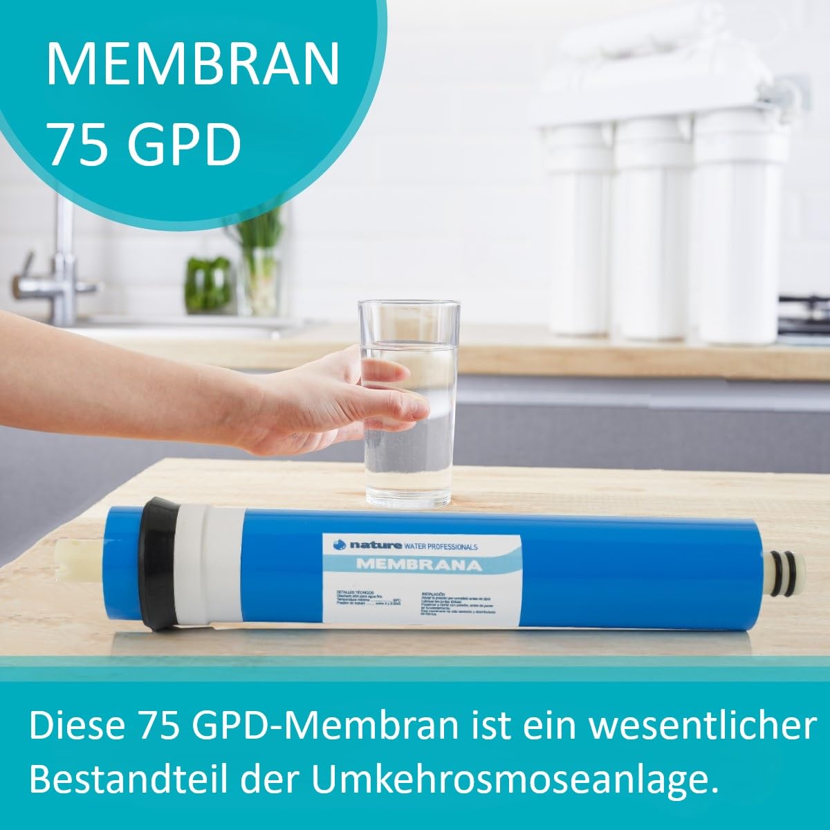 Ideale Membran für Umkehrosmose – 75 GPD – Beseitigung anorganischer Salze, Schwermetalle, organischer Stoffe und chemischer Materialien – Nature Water Professionals