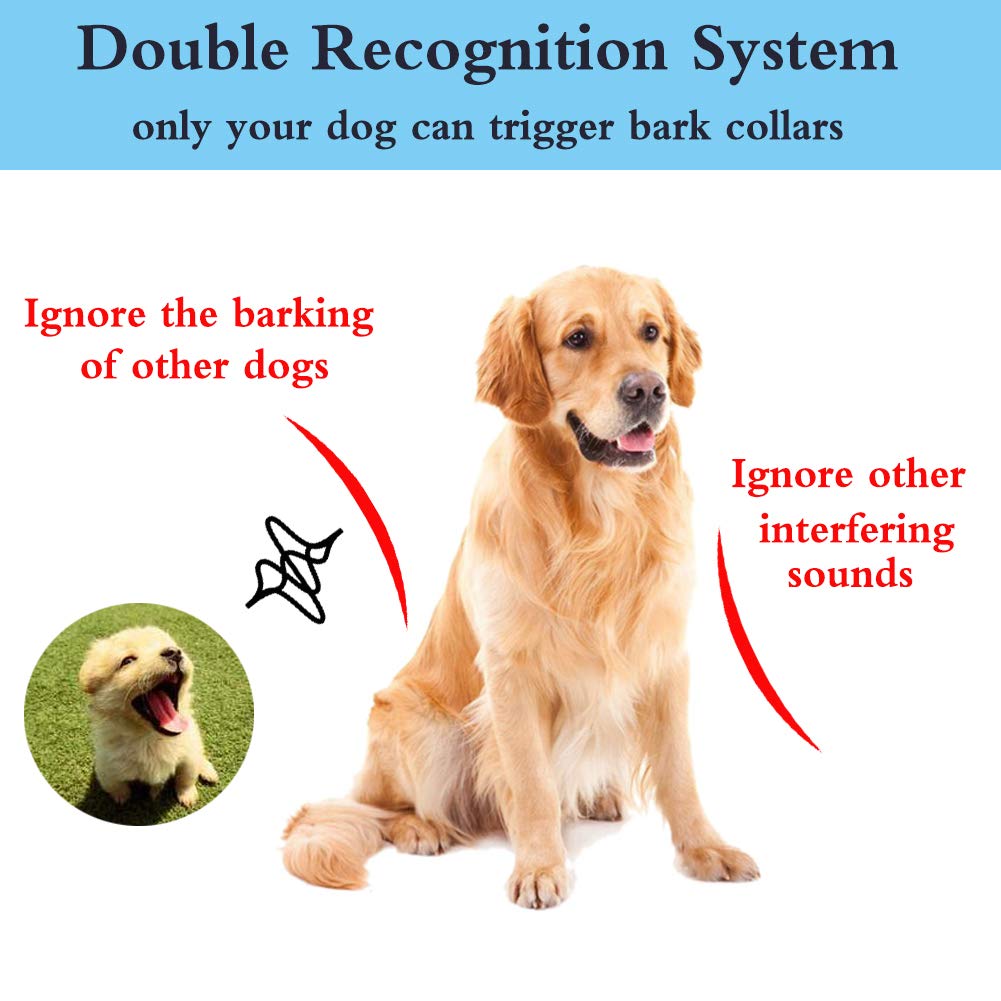 Does A Bark Collar Hurt A Dog