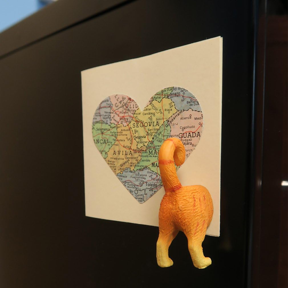 6 Pack - Evelots Refrigerator Magnets-Cat Butts-Photo/Key Holder-6 Popular Breeds