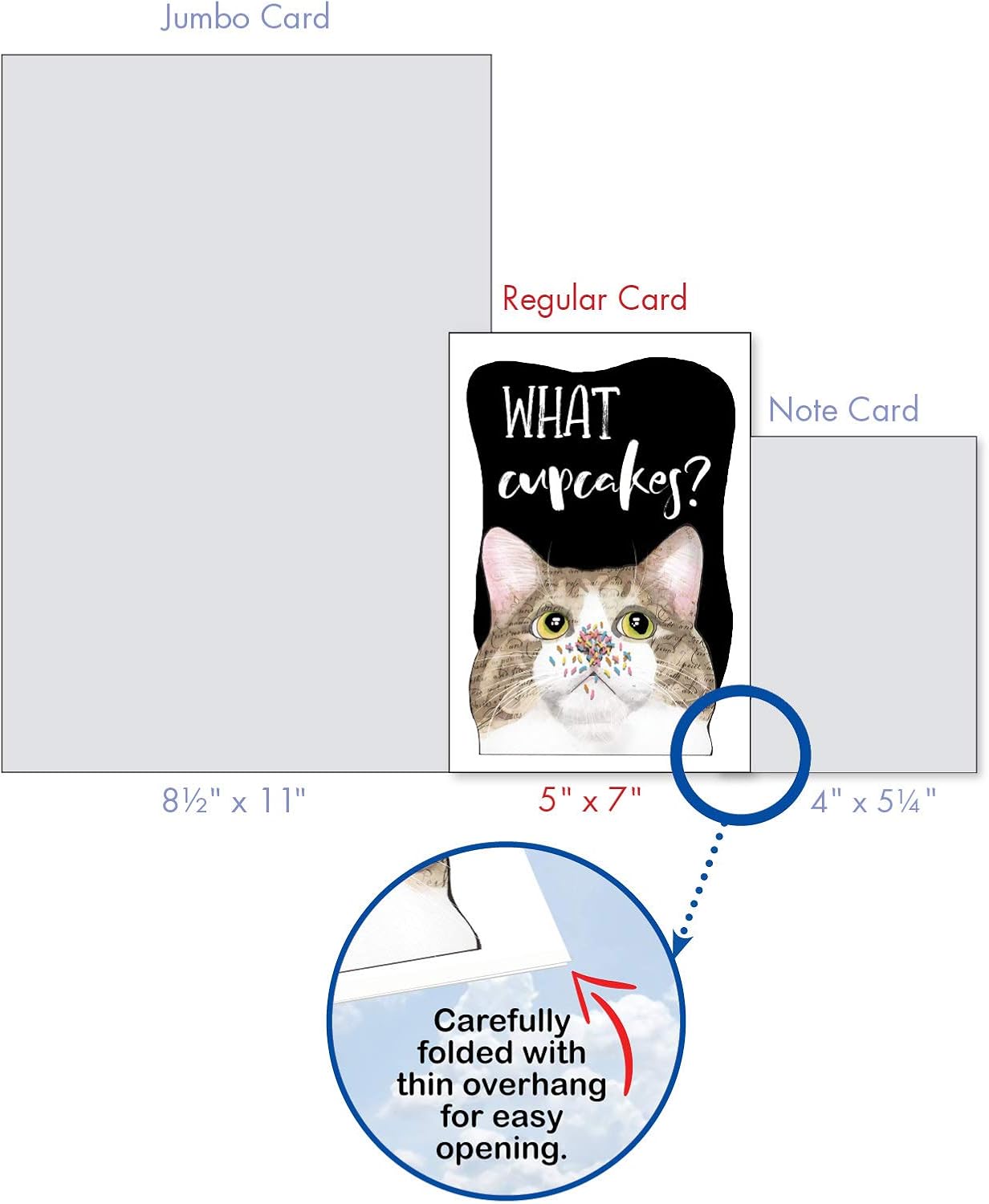 NobleWorks - 10 Assorted Funny Cats Greeting Cards Boxed set with Envelopes - Pet Animals Variety Pack - Cat Antics AC3638OCB-B1x10