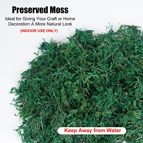 Nahuaa Craft Moss, Fake Moss Artificial Green Moss For Potted Plants, Spanish Moss For Centerpieces Decor, Artificial Green Moss For Plant Crafts Flower (Dark, Green, 3.5 Oz) #TOP2