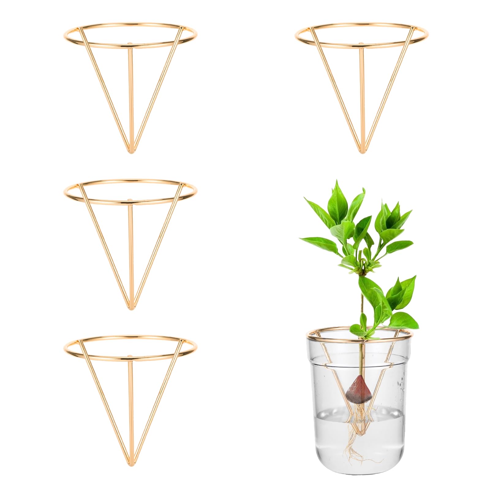 Support graine avocat lot de 4 cadeaux originaux amateurs jardin