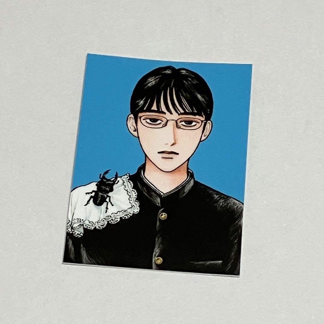 Amazon.co.jp: 女の園の星 クワガタボーイステッカー : おもちゃ