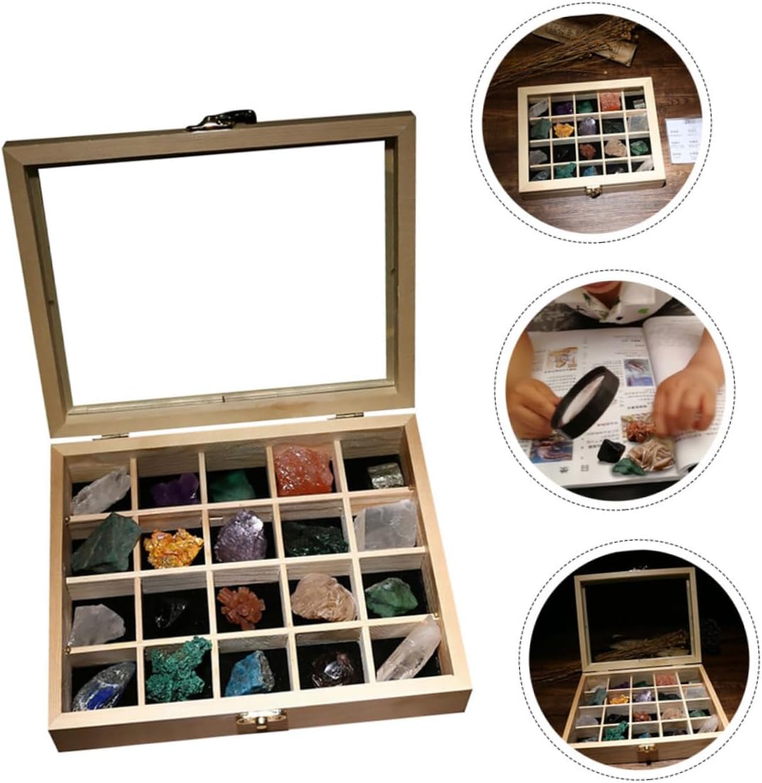 SAFIGLE 20pcs Minerals Crystals Natural Ore Stones Sample Box Rocks and Crystals