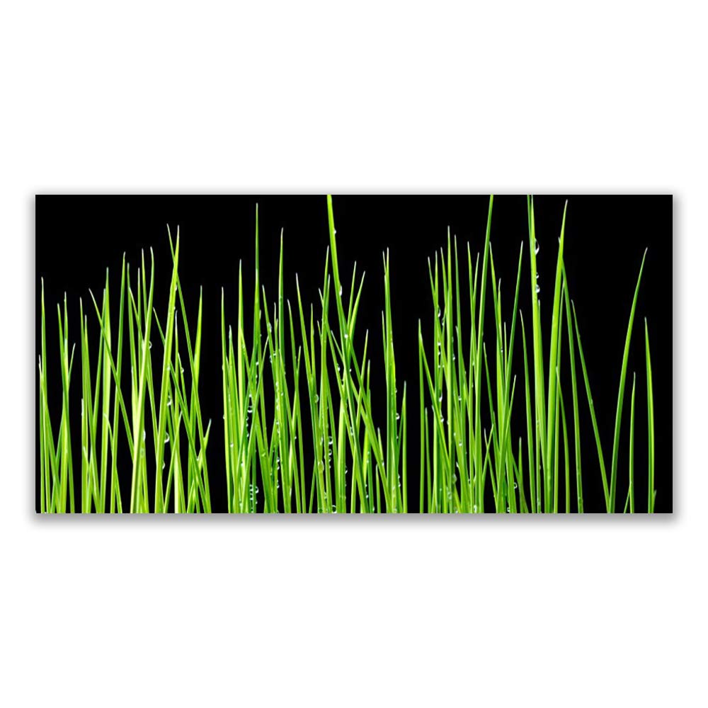 Tableau mural moderne en verre trempé 140x70 cm motif weed floral Tulup