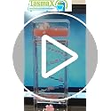 Image of TASMAX Liquid Motion Timer Hourglass Stress Relief Toys Bubbler Sensory Toys Anxiety Relief Toys Adults Acrylic Calm Desk Toy for Kids & Adults, Home & Office Decor Pack of 1 Desk Toys
