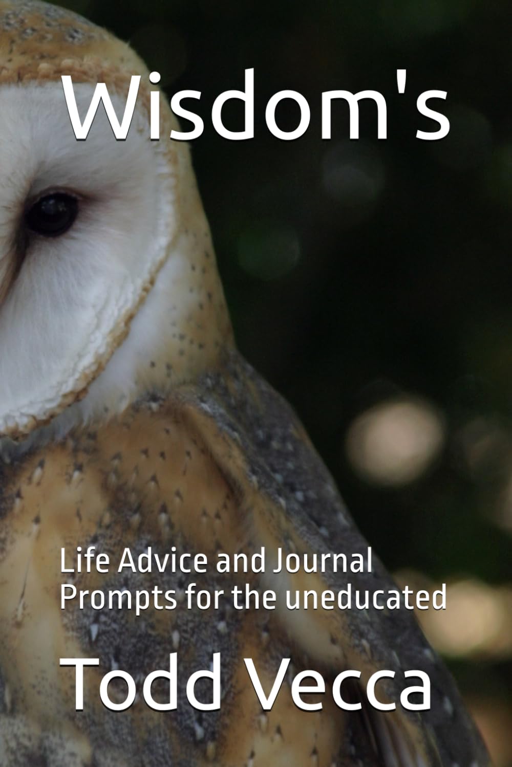 Wisdom's: Life Advice and Journal Prompts for the uneducated