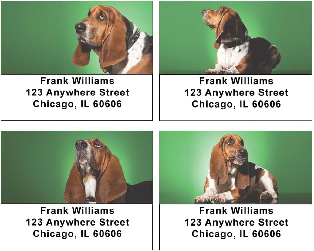 Soulful Basset Hounds Address Labels