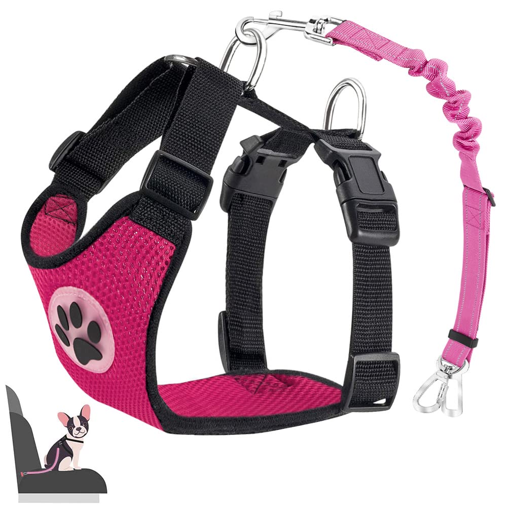 Nasjac Dog Car Harness with Seat Belts