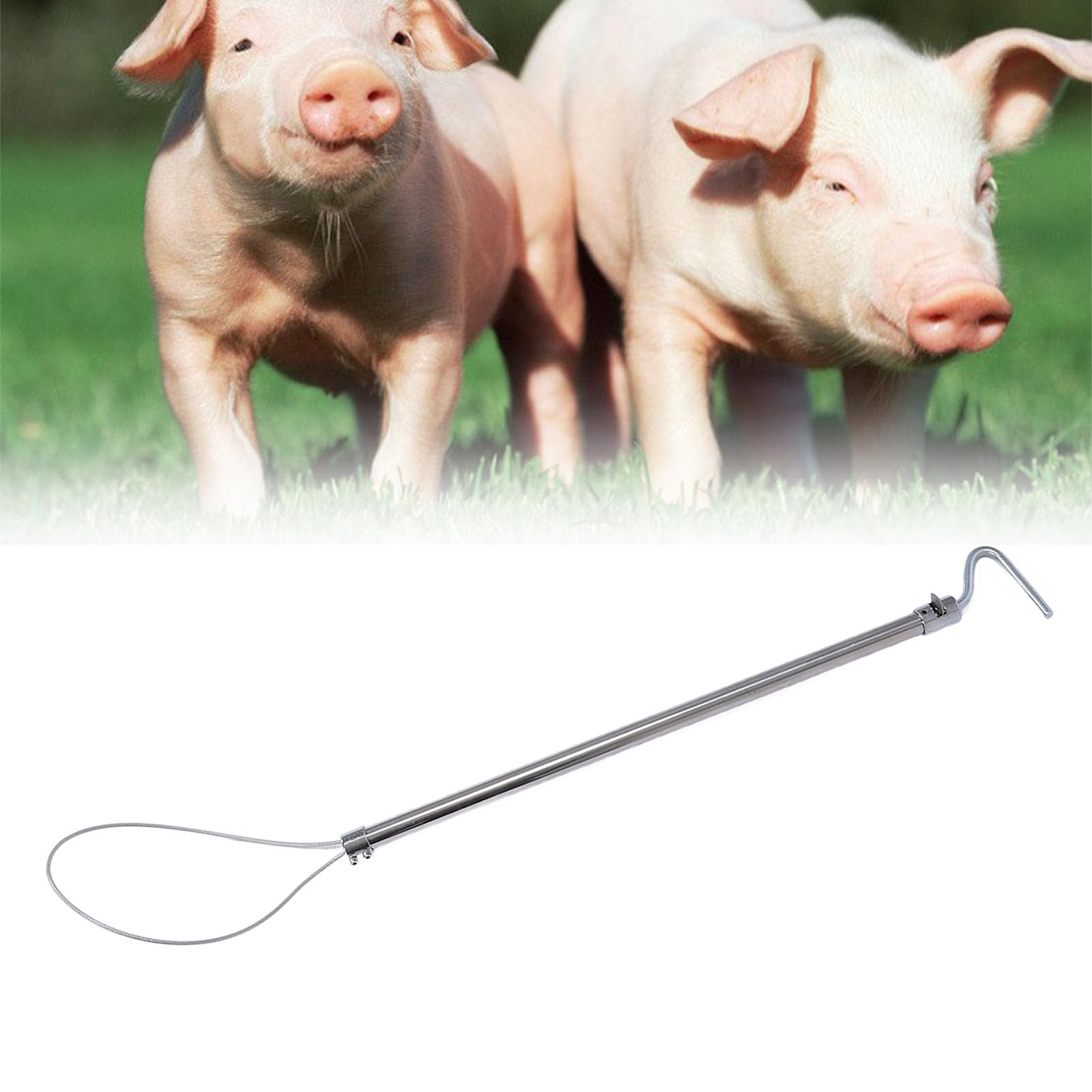 para Equipos agrícolas, para Control de Animales, para Ganado, Soporte de Poste Ajustable, Herramienta receptora de Acero Inoxidable, diseño Duradero y Seguro