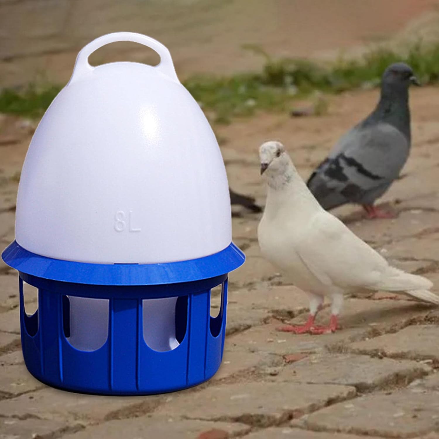 Pigeon Drinker Automatic Bird Water Dispenser Outdoor Hanging Large Capacity Water Feeder Portable Water Pot with Handle Suitable for Pet Shops Homes, 8L D 22cm H 38CM