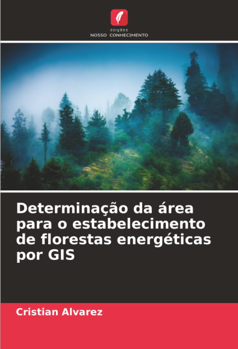 Determinação da área para o estabelecimento de florestas energéticas por GIS