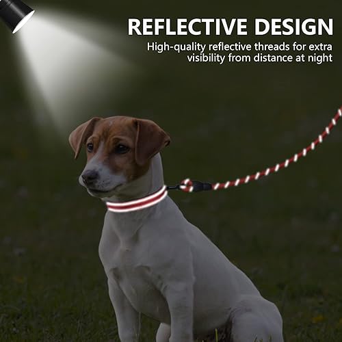 Miniatura 8 de Dynmeow Juego de collar y correa reflectante para perro, correa de cuerda de escalada fuerte de 6 pies con mango acolchado, collar ajustable para