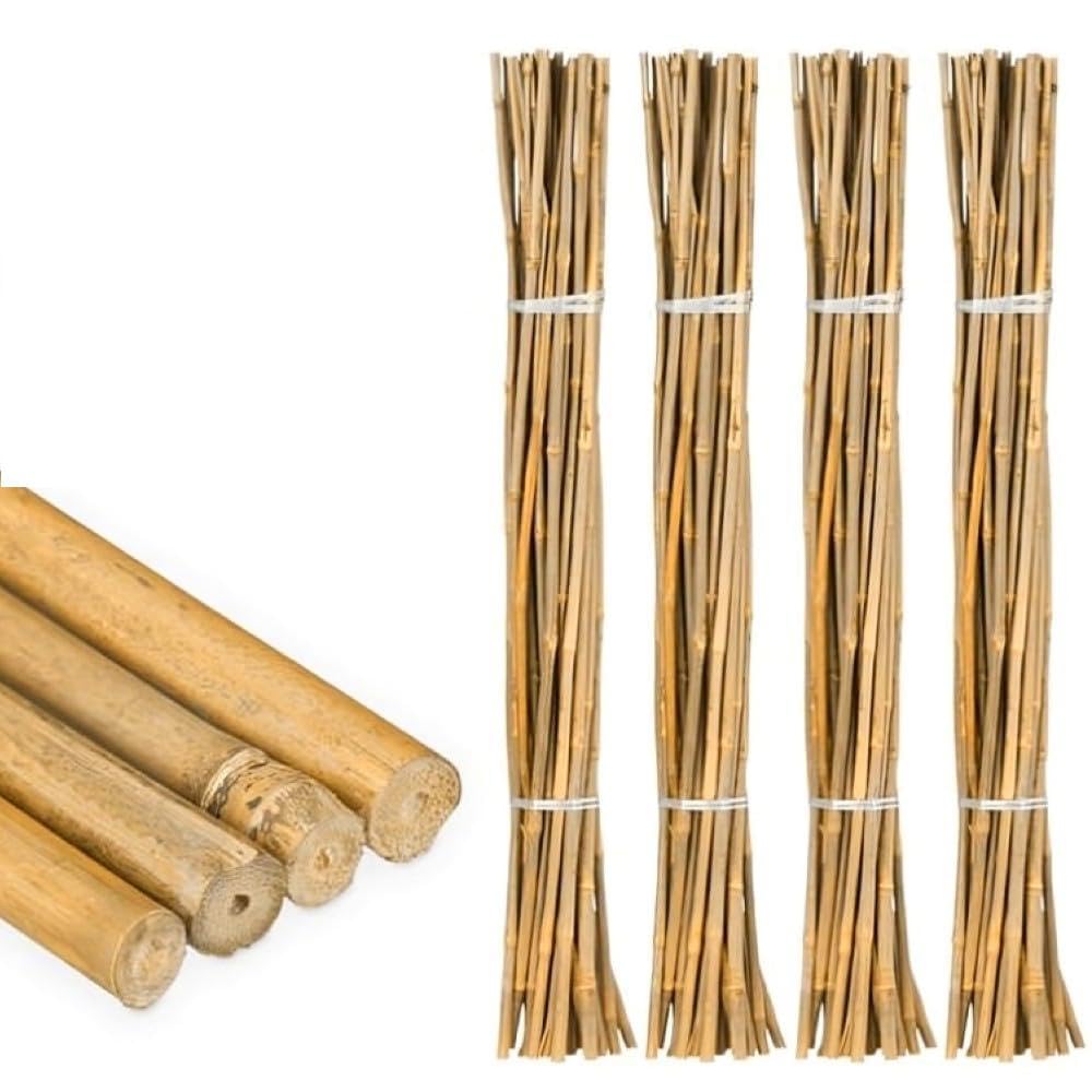 Strong Heavy Duty Professional Bamboo Plant Support Garden Canes 2ft 3ft 4ft 5ft 6ft, Pack of 10 20 30 40 50 100, 8mm Natural Bamboo Garden Stakes for Plants