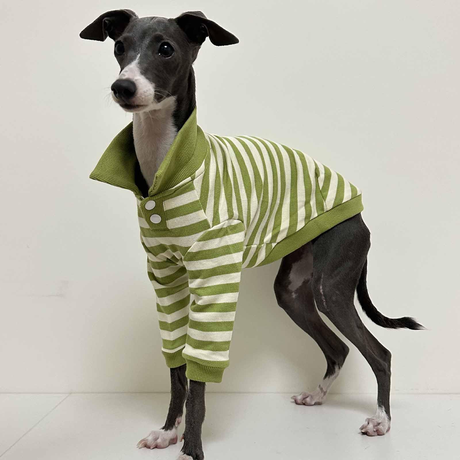 Camisa para Perro con Cuello a Rayas para Perro, Camisetas para Galgo, Linda Sudadera para Perrito, Ropa Suave y Transpirable para Cachorros, Ropa para Perros pequeños y medianos