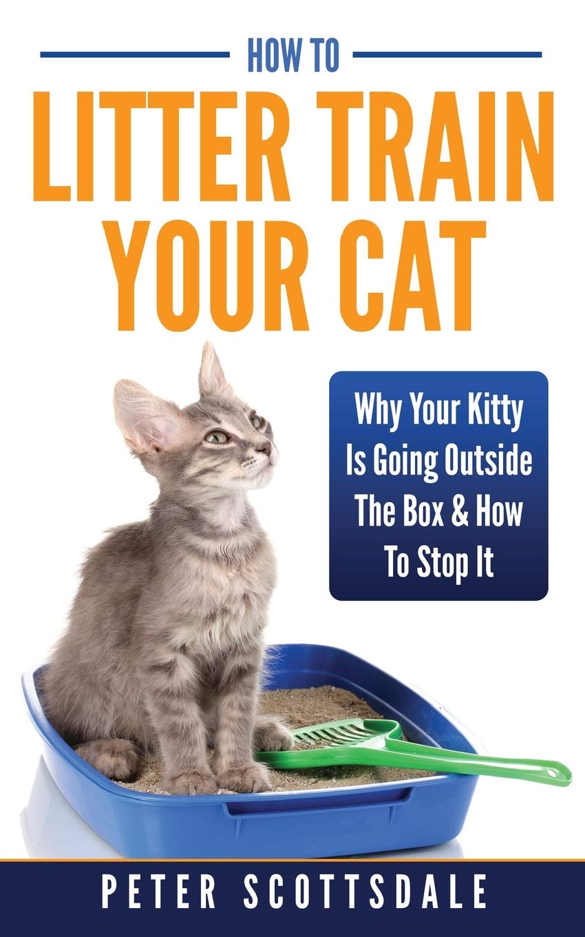 How To Litter Train Your Cat: Why Your Kitty Is Going Outside The Box & How To S
