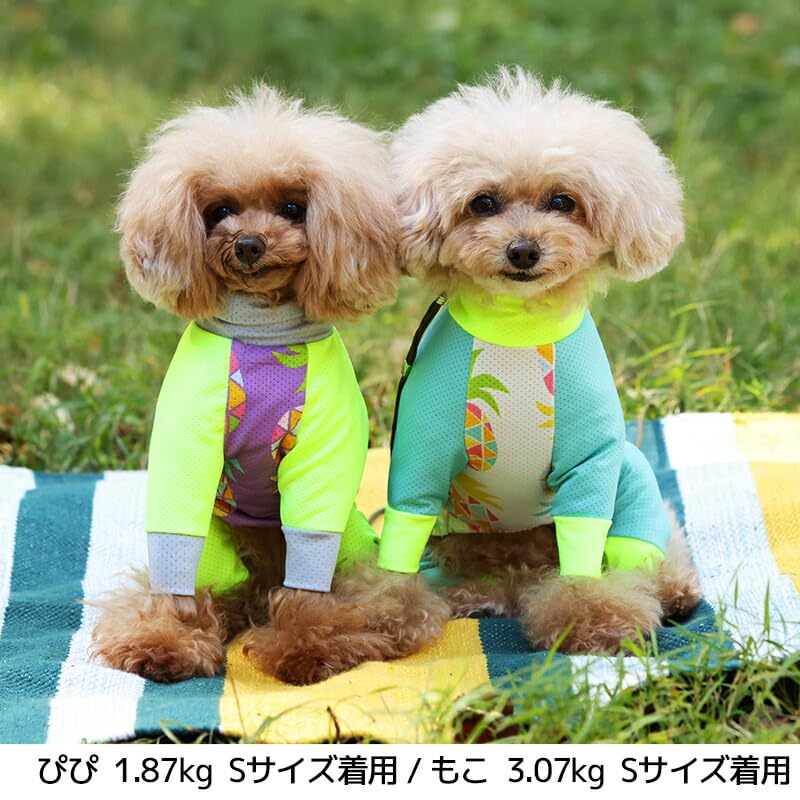 Amazon | 幾何学パインメッシュアクロン S/M/L/XL/XXL/DXS/DS/DM