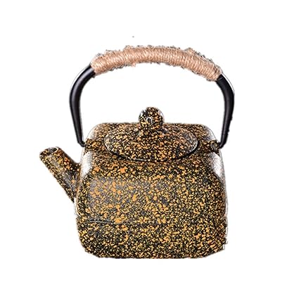ShiSyan Cast Iron Teapot Cast Iron Teapot Boiling Tea Black Oolong Tea Can Be Used for Loose Leaf Tea (Color : Multi-Colored)