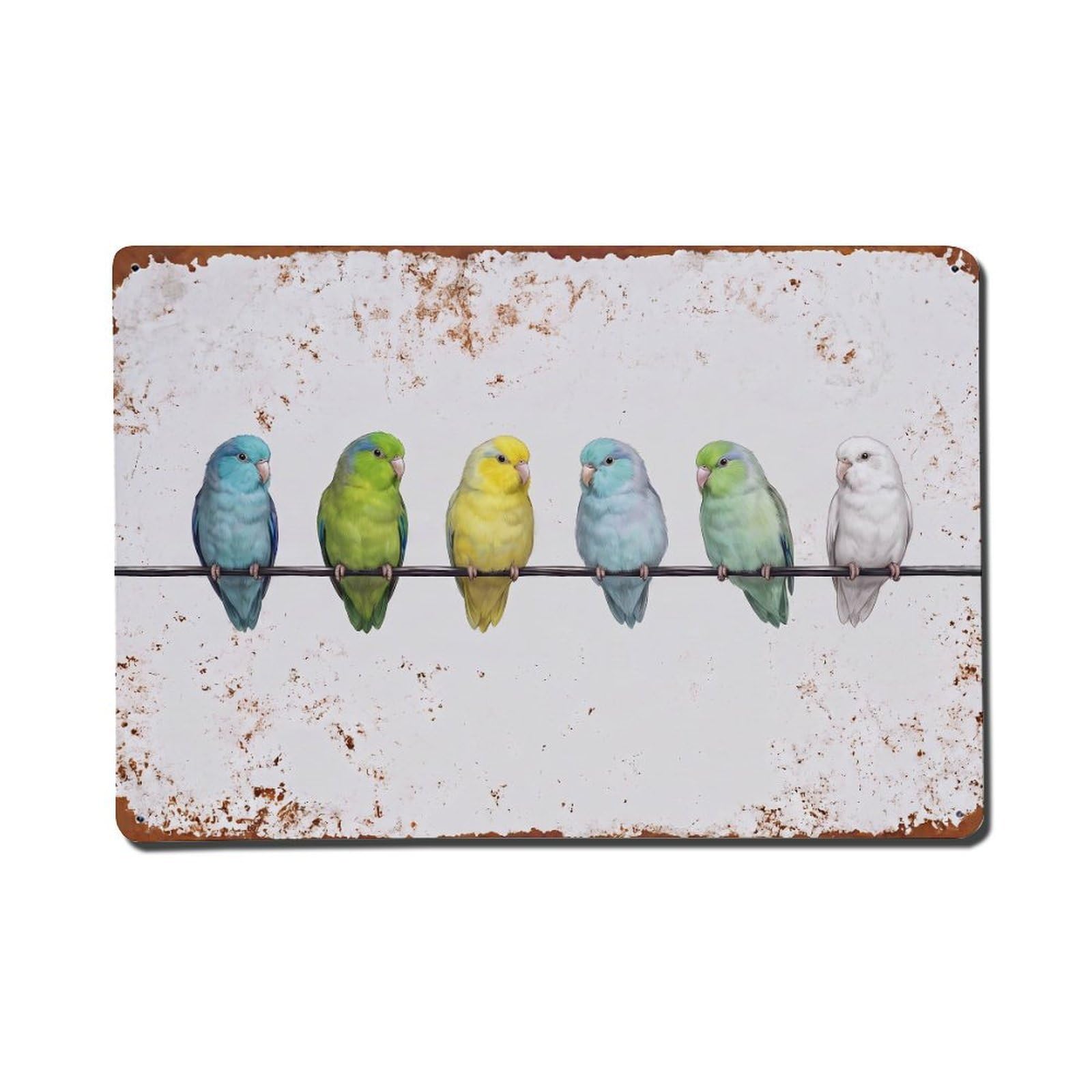 Vintage Retro Birds Parrotlet Metal Tin Sign