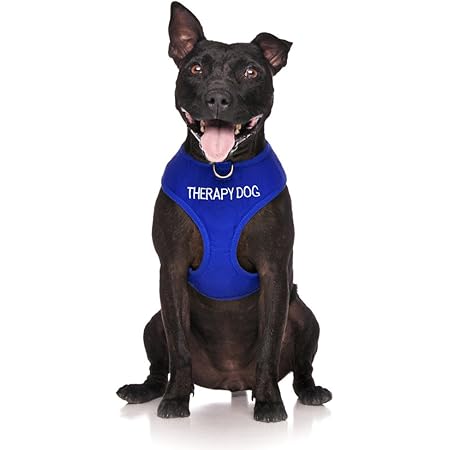 therapy dog harness amazon