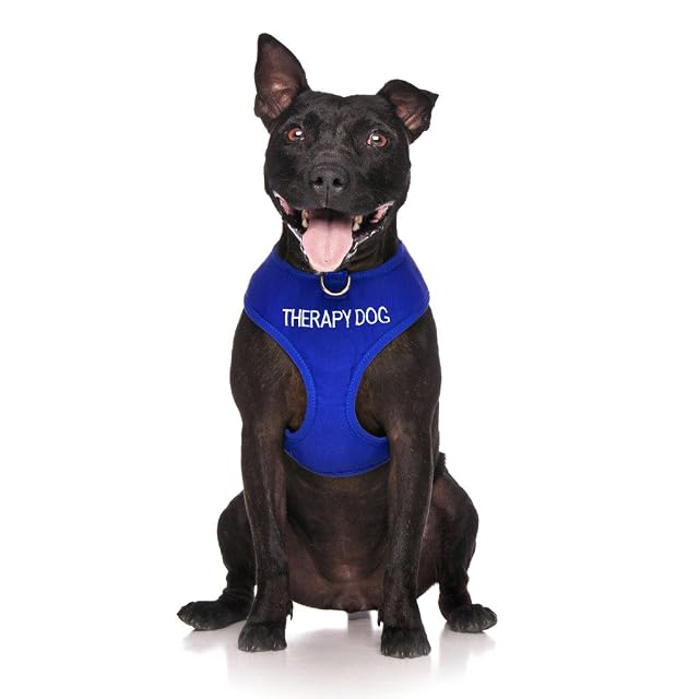 Dexil Limited Therapy Dog Arnés para Perros con Anilla en D Delantera y Trasera, codificado por Colores