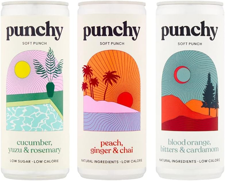 Punchy Drinks - Premium Soft Drinks, Vitamin D, All Natural, Low Calorie, Non Alcoholic, 250ml (Mixed Case, 250ml (Pack of 24))
