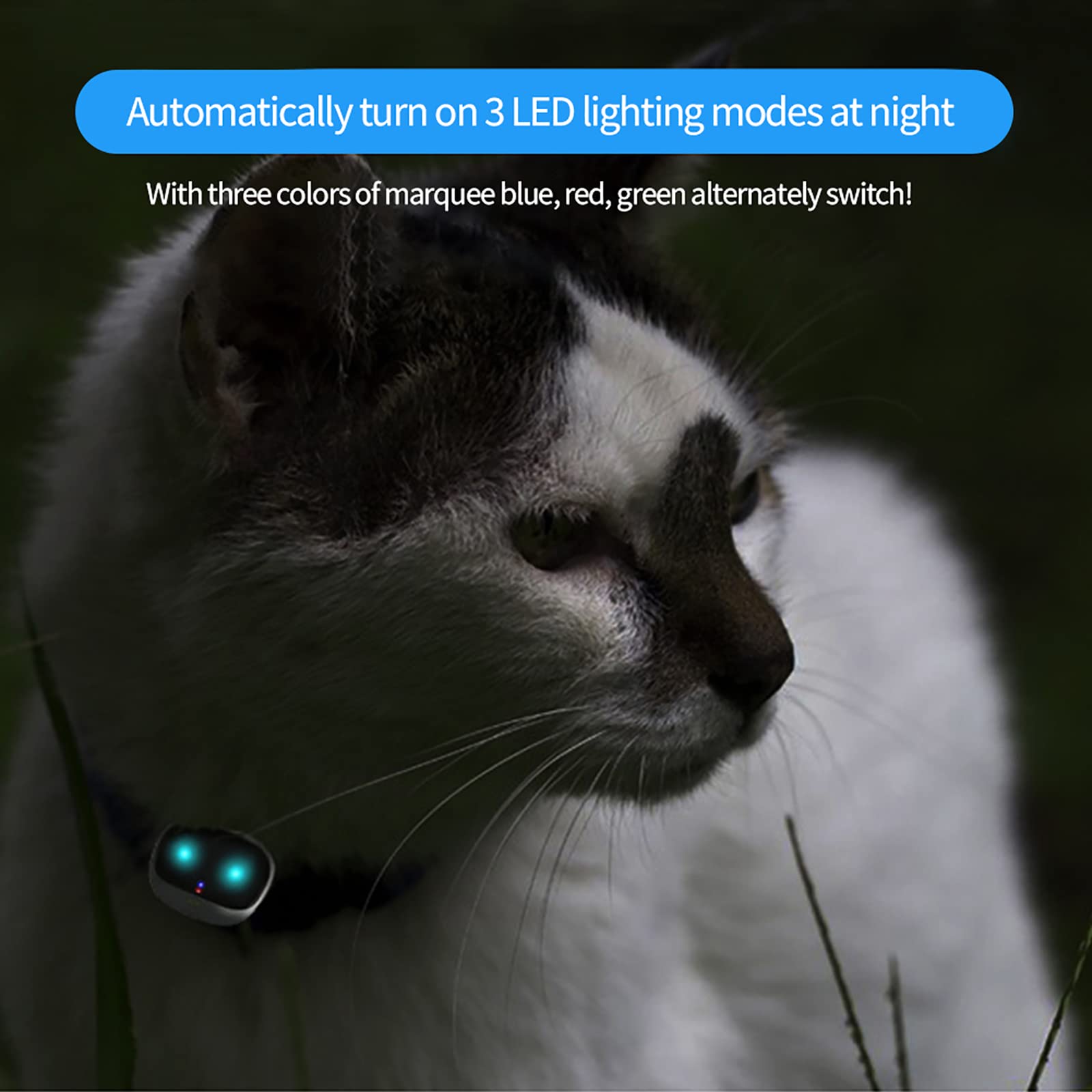 Localizzatore GPS per Animali Domestici, Localizzatore di Collare Intelligente Anti-smarrimento per Cani da Compagnia, Riproduzione della Traccia, Impostazione della Portata