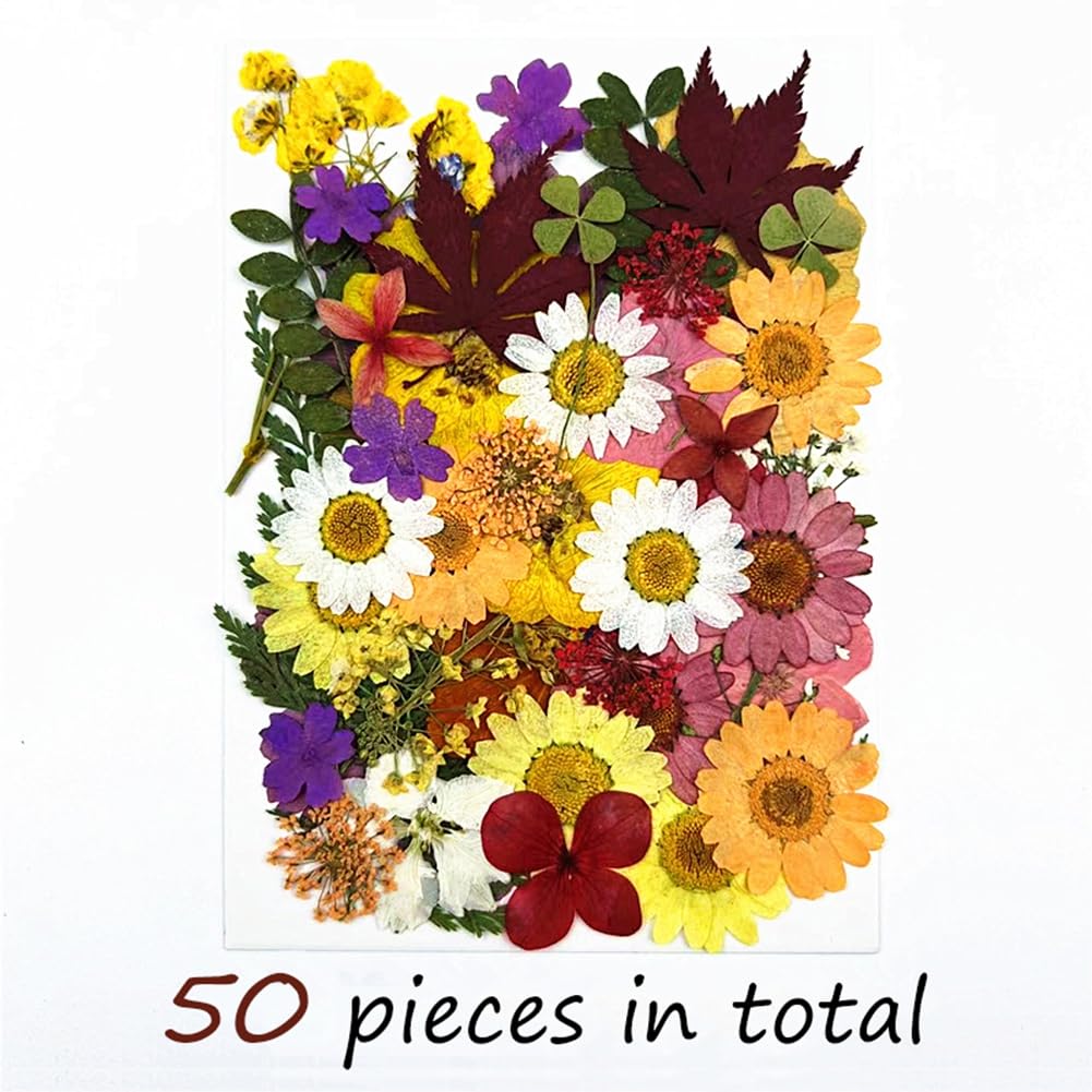 50 pcs Colorful Flowers for Resin Model, Real Pressed Flowers Dry Leaves Bulk Natural Herbs Kit for Scrapbooking DIY Jewelry, Candle, Soap Making, Nails Decor, Greeting Making