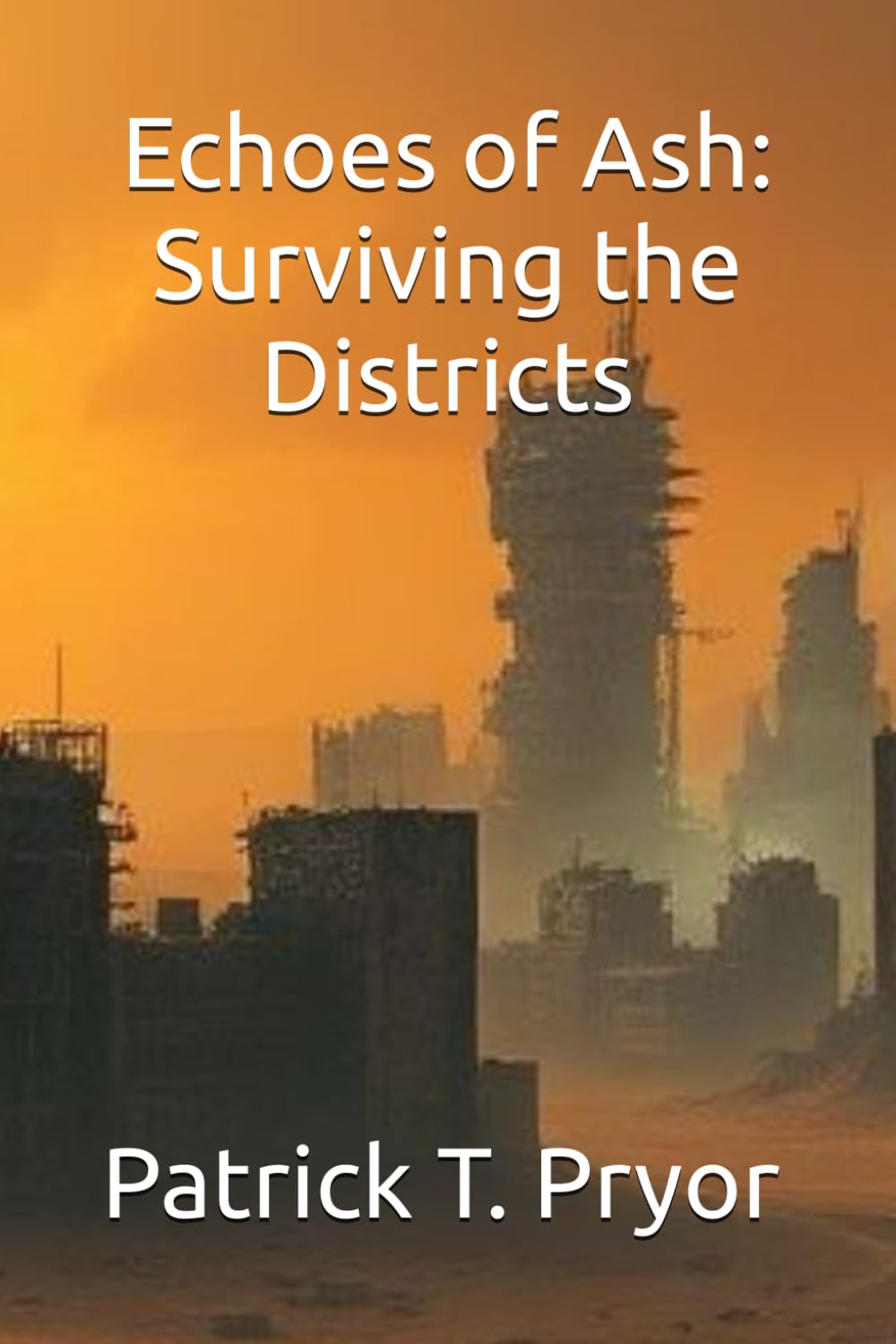 Echoes of Ash: Surviving the Districts