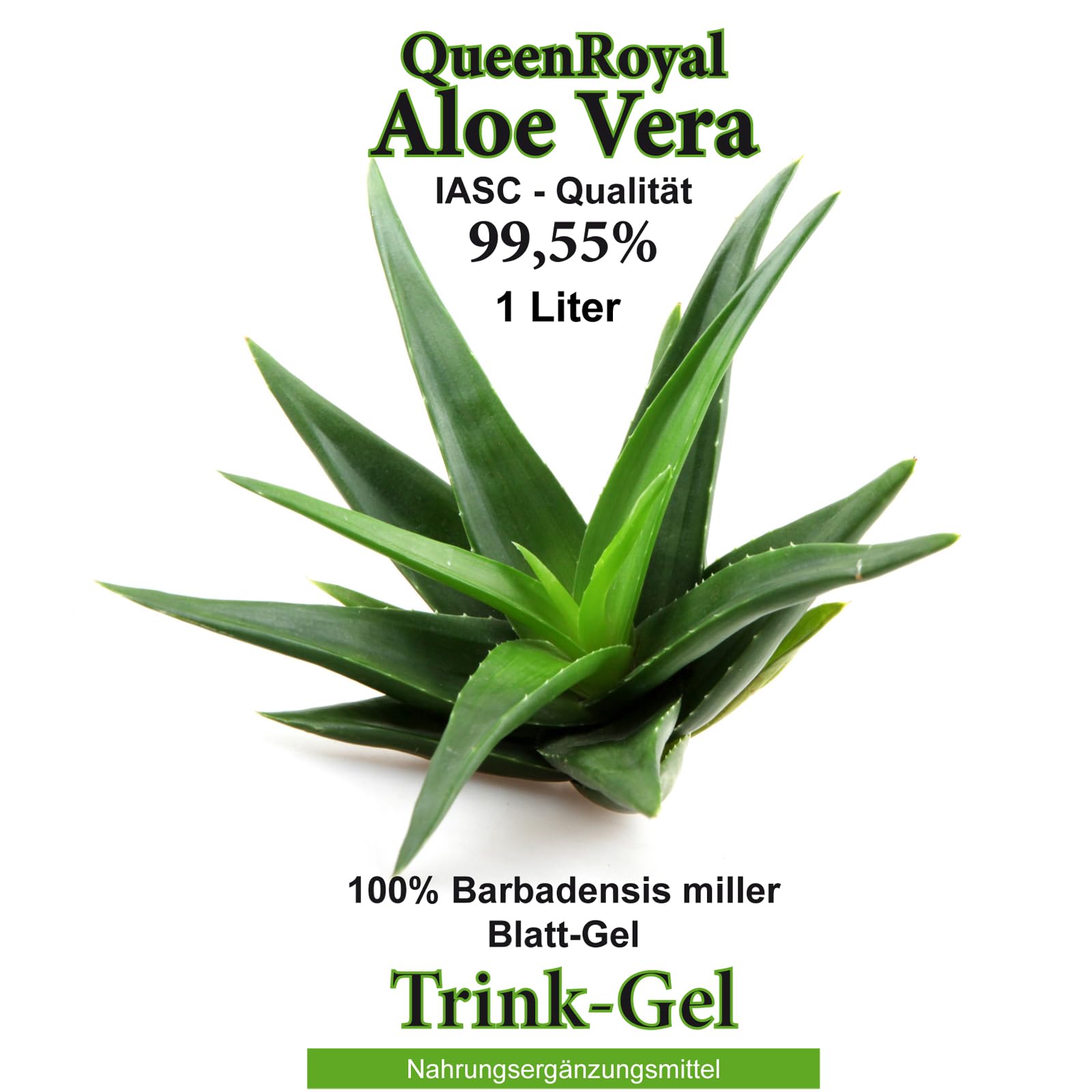 Aloe Vera IASC Barbadensis miller Trink Gel 6 Liter Sparpack von QueenRoyal 99.55% Blatt-Gel pur OHNE Geschmacksstoffe OHNE Verdickungsmittel. 30037 W