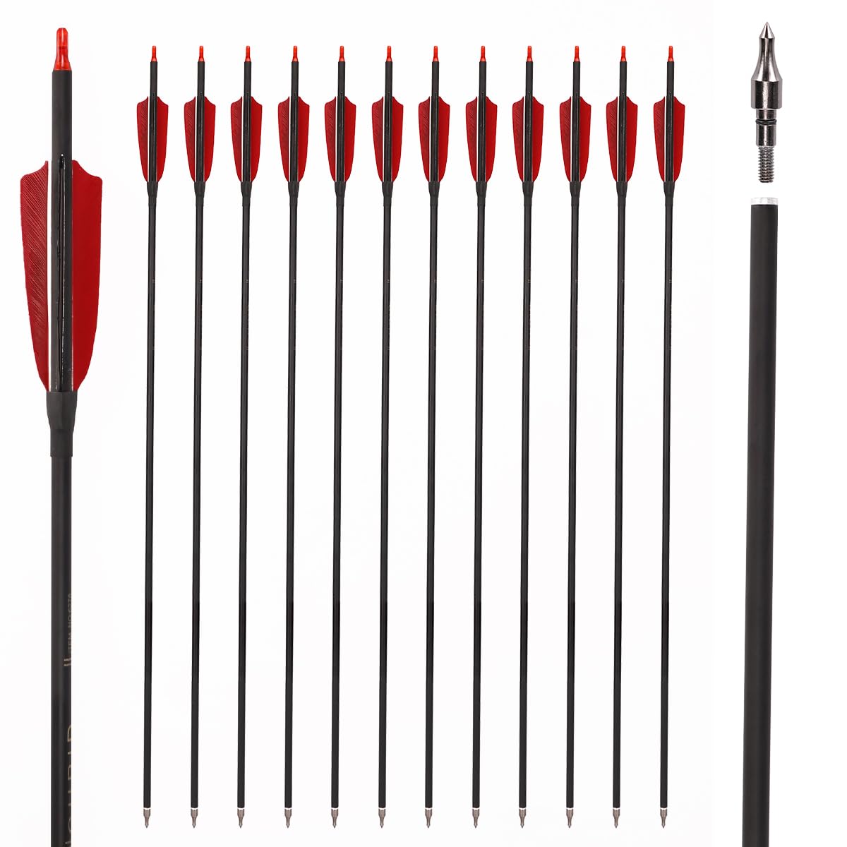 LWANO 30 Carbon Arrows